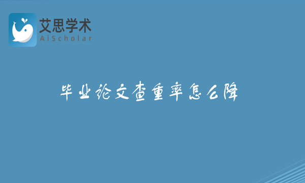 毕业论文查重率