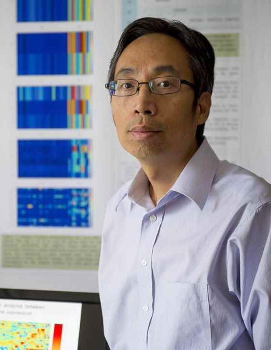 Yuping Wang.jpg