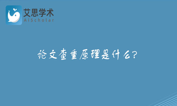 论文查重原理