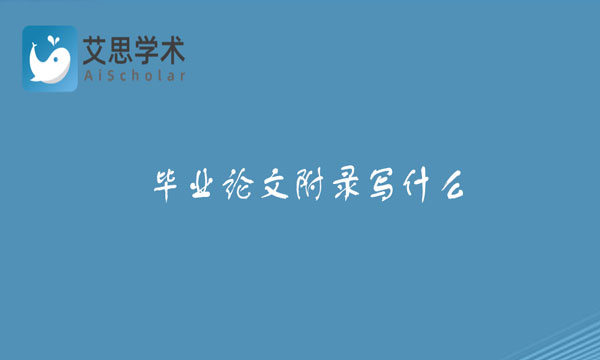 毕业论文附录