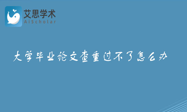 毕业论文查重