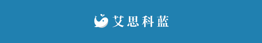 艾思.gif